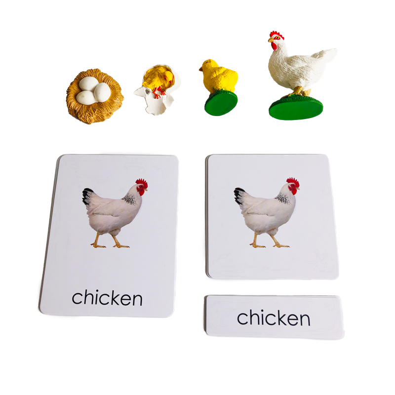 Tarjetas y modelos de animales - Kids Toys Cycle reseña y precio