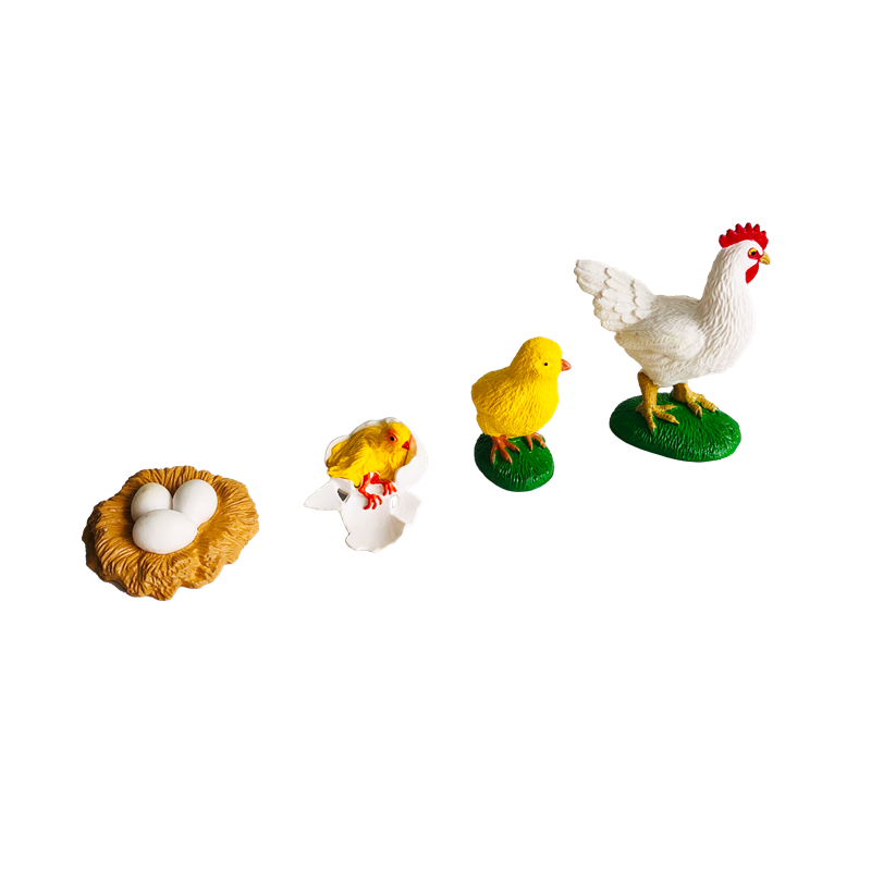 Tarjetas y modelos de animales - Kids Toys Cycle reseña y precio
